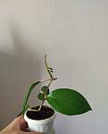     
: IMG_20210515_123955.jpg
: 41
:	40.1 
ID:	13480043
