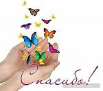     
: f60dfbca9633dc043ac38a097089ae4c.jpg
: 12
:	21.1 
ID:	13480044