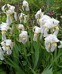     
: 20210516_115940.jpg
: 10
:	166.6 
ID:	13480304