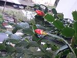    
: 20210517_174221.jpg
: 6
:	138.7 
ID:	13480760