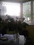     
: 1621274182233.jpg
: 19
:	43.4 
ID:	13480769