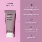     
: 4_restore-repair-hair-mask-1200x1200.jpg
: 6
:	59.8 
ID:	13480849