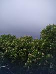     
: IMG_20210518_165052.jpg
: 13
:	95.4 
ID:	13481655