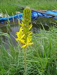     
: IMG_20210518_113834[1].jpg
: 10
:	119.4 
ID:	13481816
