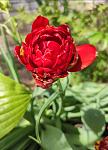     
: IMG_20210519_114019.jpg
: 12
:	75.4 
ID:	13481958