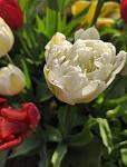     
: IMG_20210519_113956.jpg
: 10
:	58.4 
ID:	13481959