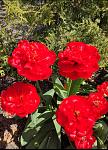     
: IMG_20210519_113937.jpg
: 11
:	160.0 
ID:	13481960