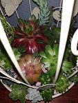     
: IMG_20210519_195411.jpg
: 6
:	125.2 
ID:	13482115