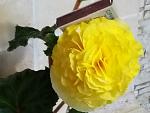     
: P10521-061432.jpg
: 8
:	96.4 
ID:	13482538