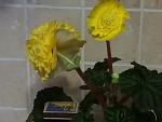     
: P10521-061533.jpg
: 7
:	103.7 
ID:	13482540