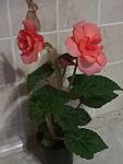     
: P10521-053120.jpg
: 8
:	60.7 
ID:	13482557