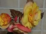     
: P10521-060924.jpg
: 5
:	102.6 
ID:	13482560