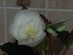     
: P10521-054614.jpg
: 7
:	64.9 
ID:	13482562