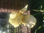     
: 6C3A2914-A0D1-4A29-9767-9B1758675974.jpg
: 8
:	65.6 
ID:	13483191