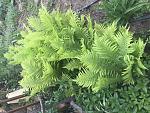     
: 68622BA0-6400-411C-836F-ECDBF40B2C5E.jpg
: 6
:	200.9 
ID:	13483209