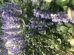     
: 9EEE25C6-D92C-42E2-905D-5FC738346FBC.jpg
: 7
:	167.3 
ID:	13483214