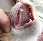     
: IMG_5875.jpg
: 25
:	96.1 
ID:	13483873