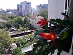     
: 20210526_102959.jpg
: 3
:	208.4 
ID:	13483977