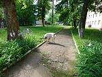     
: DSC_1441.jpg
: 61
:	301.9 
ID:	13484929