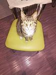    
: IMG-1b435d074f810de9ca526dfe33cbfed8-V.jpg
: 64
:	74.5 
ID:	13485359