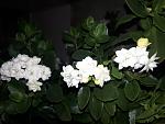     
: 20210601_194600.jpg
: 6
:	91.3 
ID:	13485585