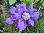     
: 20210528_192540.jpg
: 10
:	138.0 
ID:	13486906