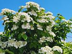     
: 20210523_130220.jpg
: 11
:	232.2 
ID:	13486909