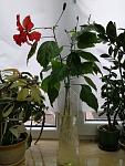     
: IMG_20210604_132631.jpg
: 6
:	98.9 
ID:	13486914