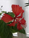     
: IMG_20210604_132920.jpg
: 6
:	57.2 
ID:	13486915