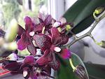    
: 20210604_135059.jpg
: 8
:	127.4 
ID:	13486919