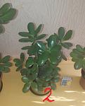     
: 20210604_171500  .jpg
: 31
:	77.0 
ID:	13487128