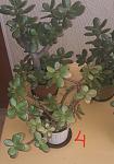     
: 20210604_172006  .jpg
: 31
:	75.7 
ID:	13487130