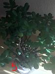     
: 20210604_171959  .jpg
: 33
:	59.8 
ID:	13487131