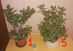     
: 20210604_172548  .jpg
: 35
:	113.7 
ID:	13487133