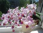     
: 0176b2382e3a.jpg
: 9
:	90.6 
ID:	13487595