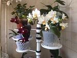     
: IMG_6312.jpg
: 13
:	130.5 
ID:	13487597
