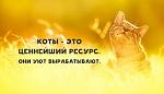    
: __cats-best.jpg
: 14
:	38.2 
ID:	13487807