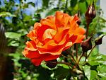    
: 20210605_124314.jpg
: 12
:	126.4 
ID:	13488142