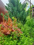     
: 20210606_115845.jpg
: 11
:	231.5 
ID:	13488143