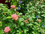     
: 20210606_120520.jpg
: 9
:	232.4 
ID:	13488144