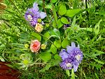     
: 20210606_121313.jpg
: 11
:	270.1 
ID:	13488147