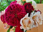     
: 20210606_130829.jpg
: 9
:	118.1 
ID:	13488148