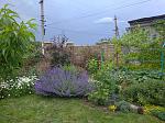     
: IMG_20210606_173540_1.jpg
: 57
:	260.8 
ID:	13488779