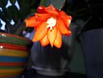     
: 20210610_134950.jpg
: 9
:	59.5 
ID:	13488857