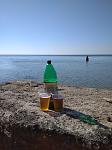     
: IMG_20210610_084259_1.jpg
: 19
:	110.8 
ID:	13488967