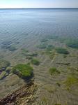     
: IMG_20210610_084405.jpg
: 23
:	100.2 
ID:	13488969