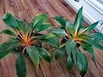     
: IMG_20210611_134103.jpg
: 5
:	181.5 
ID:	13489038