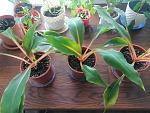     
: IMG_20210611_133947.jpg
: 5
:	172.8 
ID:	13489039