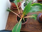     
: IMG_20210611_133931.jpg
: 4
:	142.5 
ID:	13489040
