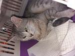     
: 20210606_152951.jpg
: 59
:	149.4 
ID:	13489275
